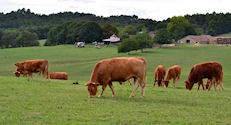 La Dordogne